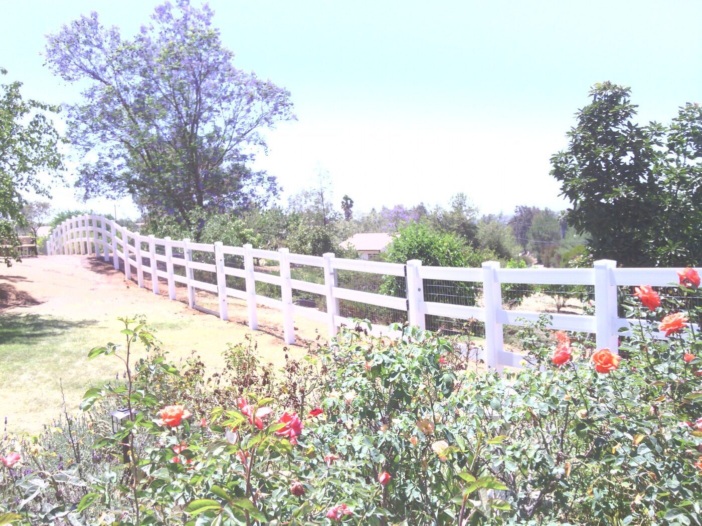 White 3-rail ranch rail fence along a driveway