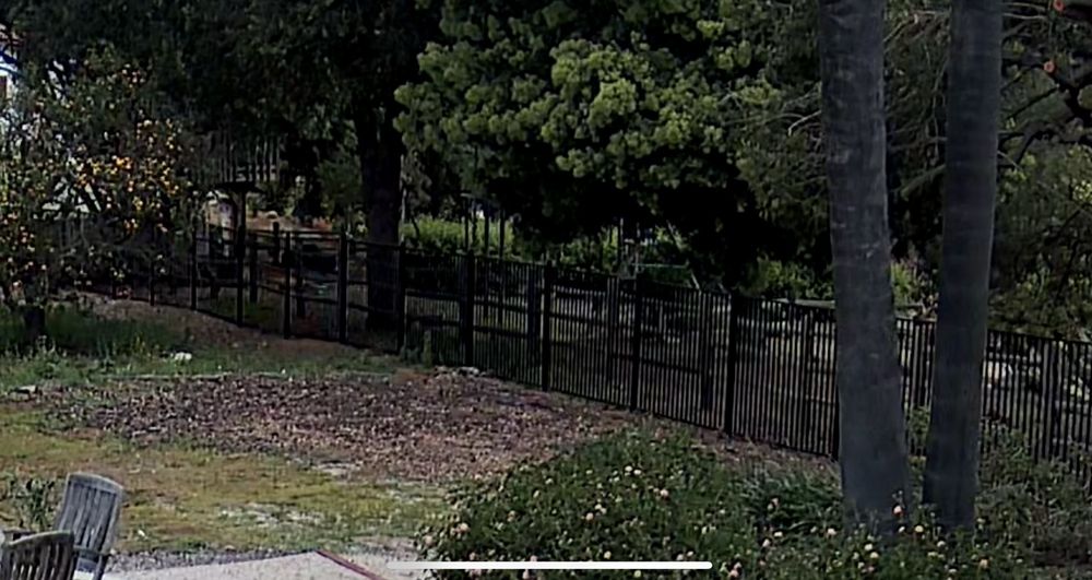 Ornamental iron enclosure fence around a yard, the style used for pool safety barriers