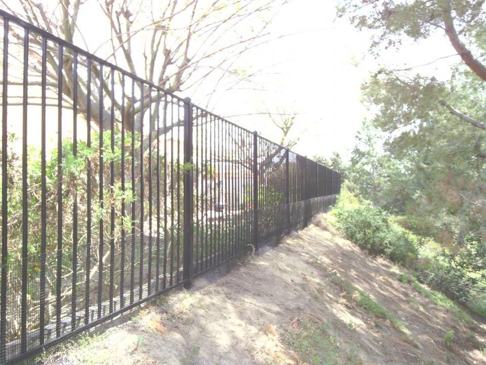 Tall black ornamental iron fence running along a landscaped property line